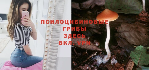 трава Алзамай