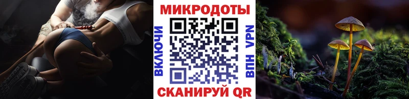 Галлюциногенные грибы Cubensis  Черноголовка 