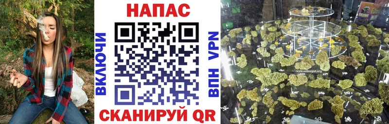 Каннабис Amnesia  Черноголовка 
